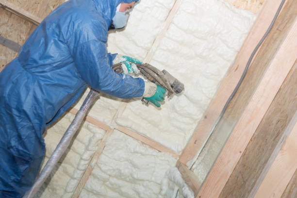 Eco-Friendly or Green Insulation Solutions in Ithaca, MI